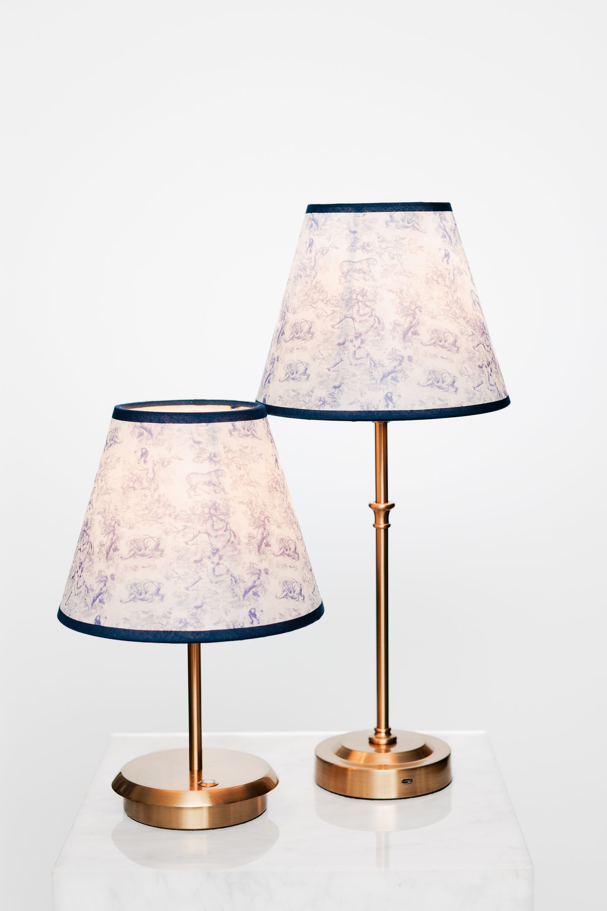 Bright corner with brass lamp, greenery and light wood surfaces.