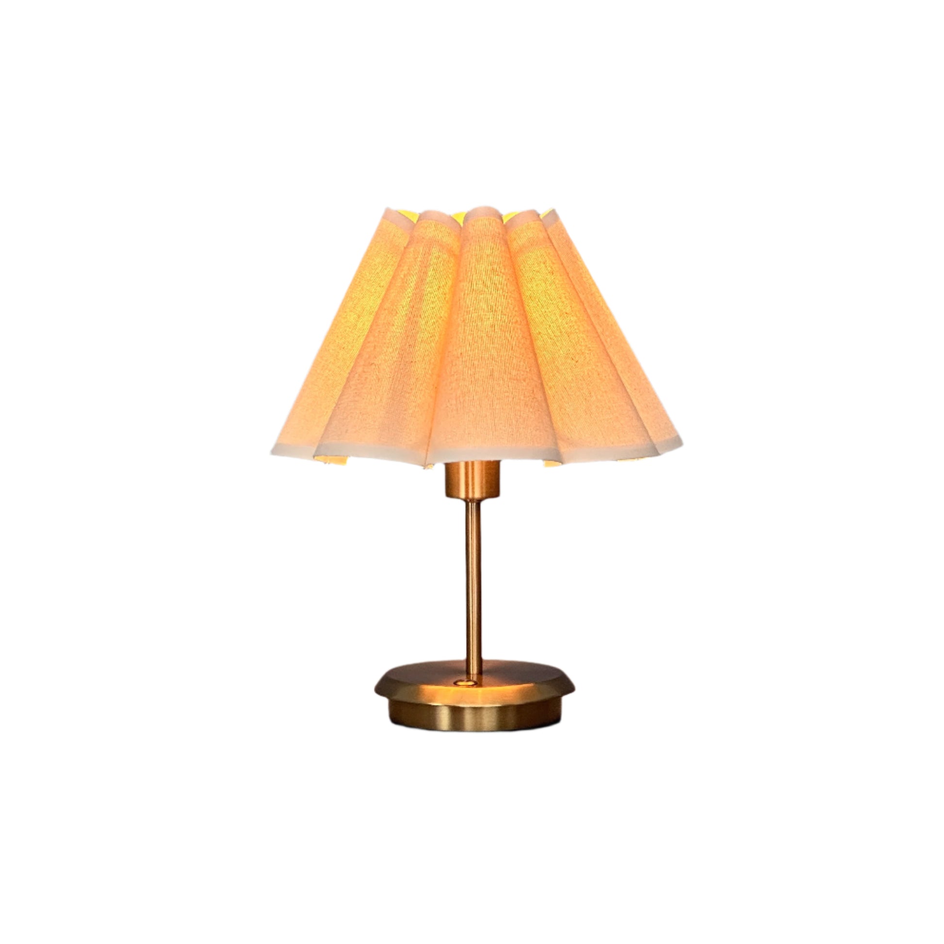 Living room with brass lamp, side table, and leafy plant in daylight.